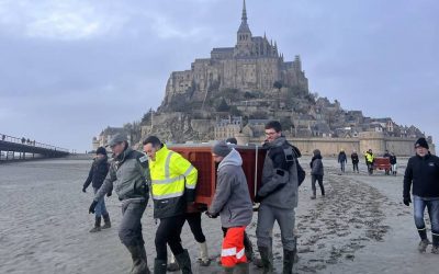 Ouest France 14/12/2022 : Deux bébés phoques relâchés « en pleine forme »  dans la baie du Mont-Saint-Michel